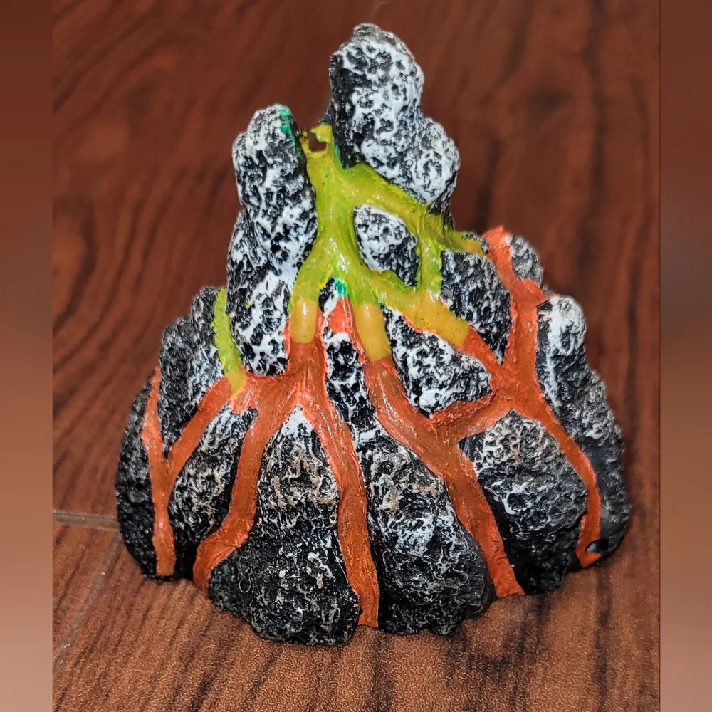 Fish lava rock decor